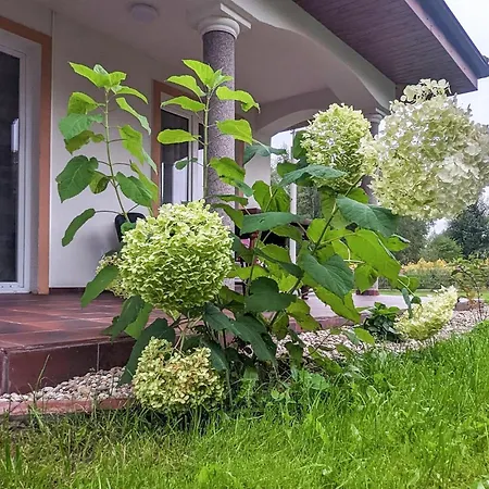Feriehus 3 Bedroom Lovely In